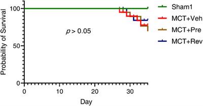 Dapagliflozin has No Protective Effect on Experimental Pulmonary Arterial Hypertension and Pulmonary Trunk Banding Rat Models